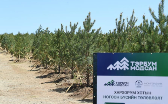 “Тэрбум мод” үндэсний хөдөлгөөний хаврын мод тариалалт маргааш эхэлнэ